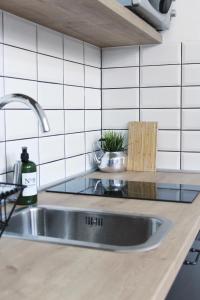 kuchnia ze zlewem i blatem w obiekcie Studio apartman Trešnjevka w Zagrzebiu