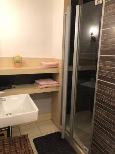 W łazience znajduje się prysznic i umywalka. w obiekcie Ubytování Liptov w Liptowskim Mikulaszu