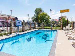 a large swimming pool with chairs and a fence at Safari Inn in Limon
