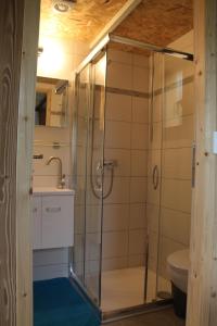 a bathroom with a shower with a sink and a toilet at Clos Shambhala-Chalet d'hôtes in Saint-Jean-Saint-Nicolas +37 photos