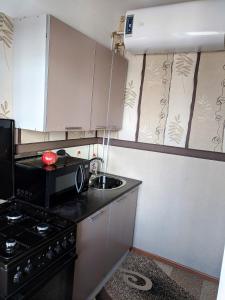 a small kitchen with a microwave and a sink at Dream Town Apartment in Kyiv