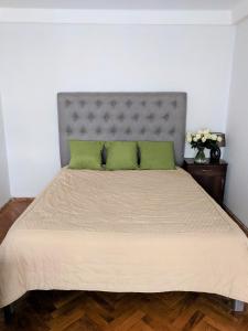 キーウにあるDream Town Apartmentの大型ベッド(緑の枕2つ付)