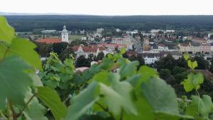 Fotografie z fotogalerie ubytování Apartmány u zámku v Bzenci