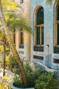 
a garden with a tree and a large window at Zamas Hotel in Tulum
