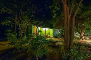 a lit up house in a forest at night at Jays Holiday Resort in Habarana