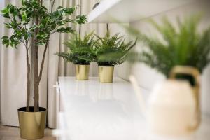 trois plantes en pot assises sur une table blanche dans l'établissement Raugyklos apartamentai, à Vilnius