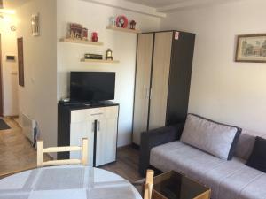 Apartment Lazic vila Suri في كوباونيك: غرفة معيشة صغيرة مع أريكة وطاولة