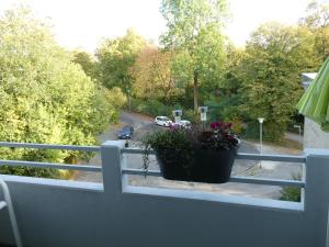 einen Balkon mit einem Blumentopf auf einem Zaun in der Unterkunft Gräftenblick in Münster