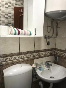 y baño con aseo, lavabo y espejo. en Apartments & Camp Stanišić, en Nikšić