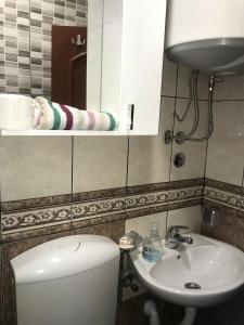 a bathroom with a toilet and a sink and a mirror at Apartments & Camp Stanišić in Nikšić +18 photos