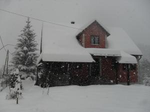 a house covered in snow next to a christmas tree at Apartman Anika in Moravice