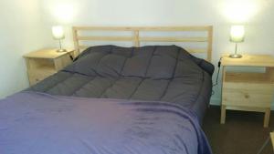 Postel nebo postele na pokoji v ubytování Chamrousse 1750 - Le Taillefer - Appartement classé 3 étoiles