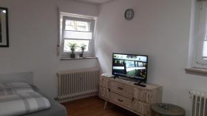 um quarto com uma televisão numa cómoda com uma cama em Business Apartment in Weil am Rhein em Weil am Rhein