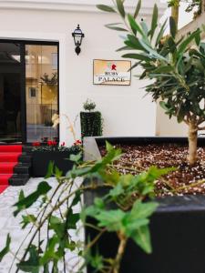 Nuotrauka iš apgyvendinimo įstaigos Ruby Palace mieste Vliorė galerijos