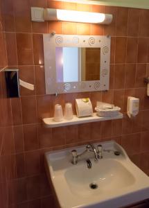 a bathroom with a sink and a mirror at La Tete Noire in Montrichard