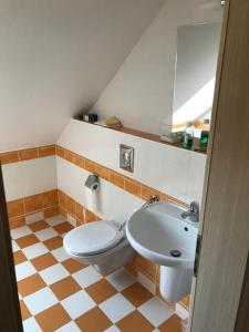 Kúpeľňa v ubytovaní Harrachov 571