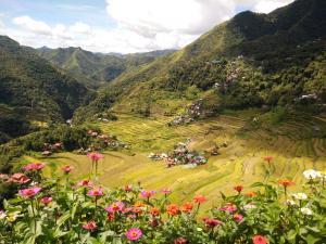 a field of flowers with mountains in the background at Batad View Inn and Restaurant in Banaue