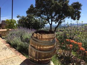Vonkajšia záhrada v ubytovaní Arianella Holiday Home Penedes