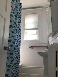 a bathroom with a sink and a window and a shower curtain at Bright, Clean, Private. In the Heart of Downtown! Parking, Wi-Fi and Netflix included in Ottawa