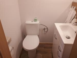a small bathroom with a toilet and a sink at Apartament TA3 in Veľký Slavkov +14 photos