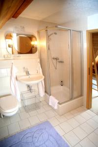 a bathroom with a shower and a toilet and a sink at Landhotel Villa Foresta in Braunlage