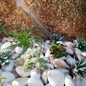 Um jardim no exterior de O Cantinho da Ana