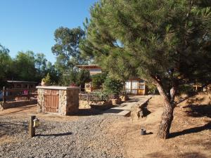 Fotografie z fotogalerie ubytování Casa Mayoral B&B Pet friendly v destinaci Valle de Guadalupe
