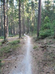 Príroda v okolí apartmánu