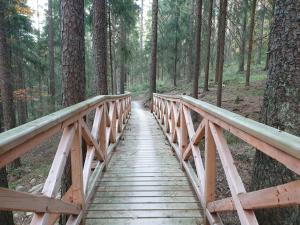 Príroda v okolí apartmánu