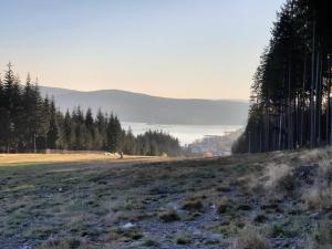 Príroda v okolí apartmánu