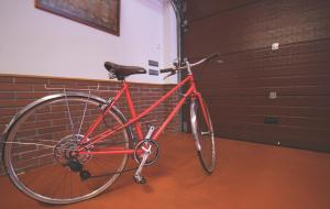Jazda na bicykli v okolí ubytovania La Curia