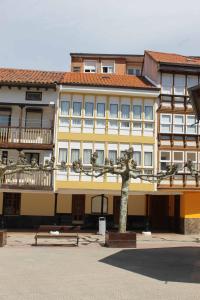 a yellow building with a tree in front of it at Crisol Plaza in Ampuero