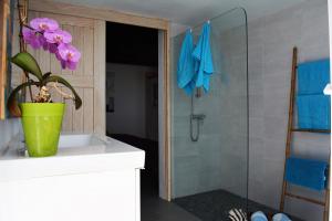 a bathroom with a shower with a plant in a green pot at Apartamento Las Palmeras Nazaret in Nazaret