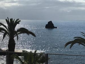 a view of the ocean with a rock in the water at Apartamentos do Mar Funchal in Funchal