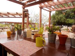 Zahrada ubytování Casa Mayoral B&B Pet friendly