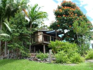 a house with a tree with oranges on it at Sacred Mountain Retreat in Nambucca Heads