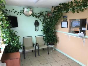 una sala de espera con dos sillas y plantas en la pared en Midtown Inn, en Springfield