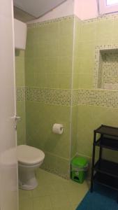 イーゾラ・ロッサにあるFronte Mareの緑豊かなバスルーム(トイレ、シャワー付)