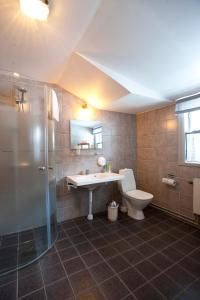 uma casa de banho com um WC, um lavatório e um chuveiro em Insjöns Hotell em Insjön