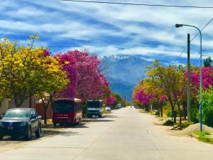 a street with flowering trees and a mountain in the background at Departamentos "La Perla" in Andalgalá