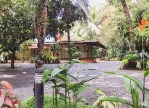 a garden with a house in the background at Palm Grove Service Villa in Cochin