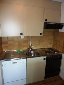 eine kleine Küche mit Spüle und Geschirrspüler in der Unterkunft Apartments Scierie in Vercorin