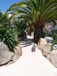 Zahrada ubytování Golfe Hôtel & Spa Porto-Vecchio