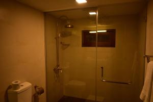 y baño con ducha de cristal y aseo. en Hill Cottage en Nuwara Eliya