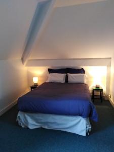 ein Schlafzimmer mit einem großen Bett mit zwei Lampen in der Unterkunft Gite de la Drouette et chambre d'hôtes in Villiers-le-Morhier