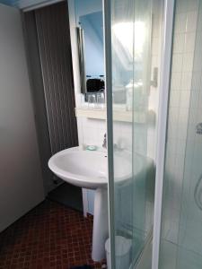 uma casa de banho com um lavatório e uma cabina de duche em vidro. em Gite de la Drouette et chambre d'hôtes em Villiers-le-Morhier