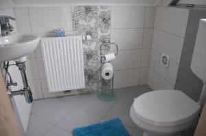 a bathroom with a toilet and a sink at Ana`s place in Celje +7 photos