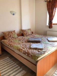 ein Bett mit zwei Kissen auf einem Zimmer in der Unterkunft Apartment Suzana in Mavrovo-Nationalpark