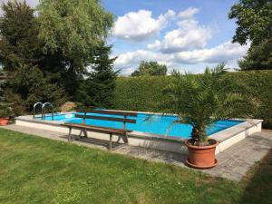 una piscina con un banco y una palmera al lado en Landurlaub in Schiebsdorf en Kasel-Golzig