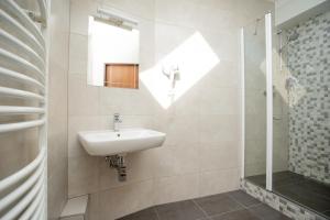 A bathroom at Hotel U koně